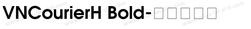 VNCourierH Bold字体转换